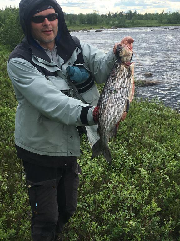 Kaamasen Kievari Kaamanen Exteriör bild
